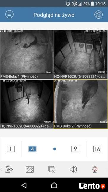 Profesjonalne monitoringi stajni, kamery do stajni, kamera,