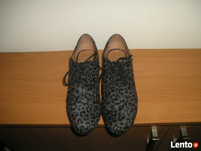 oksfordki panterka Atmosphere 39 25,5cm.