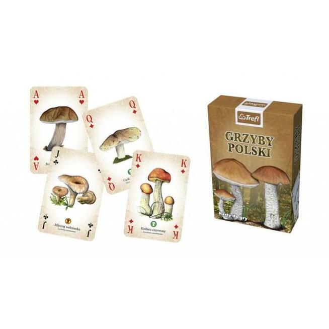 Karty do gry ''Grzyby Polski''