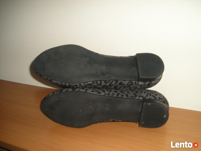 oksfordki panterka Atmosphere 39 25,5cm.