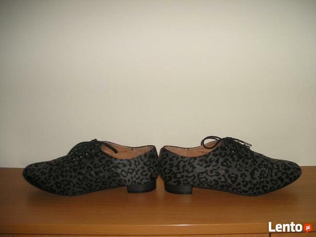 oksfordki panterka Atmosphere 39 25,5cm.