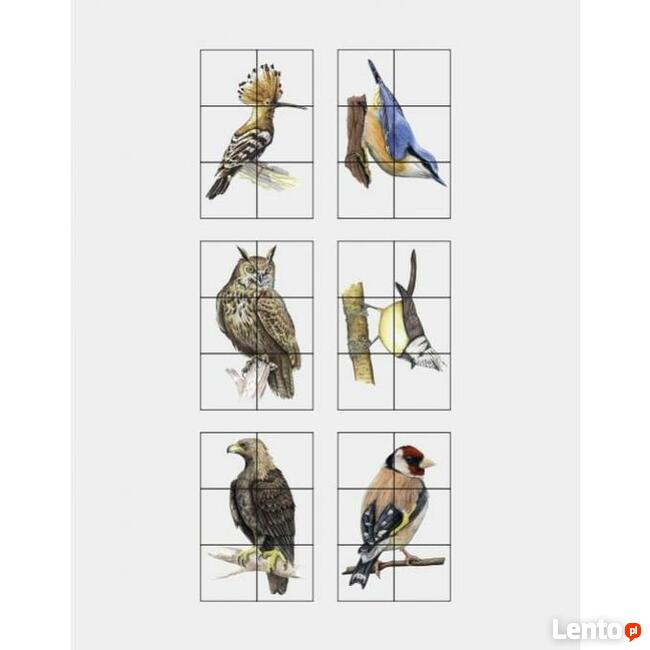 Drewniane klocki ''Ptaki''