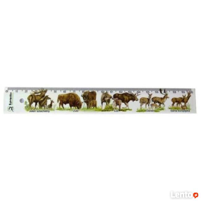 Linijka plastikowa 20 cm ''Ssaki''