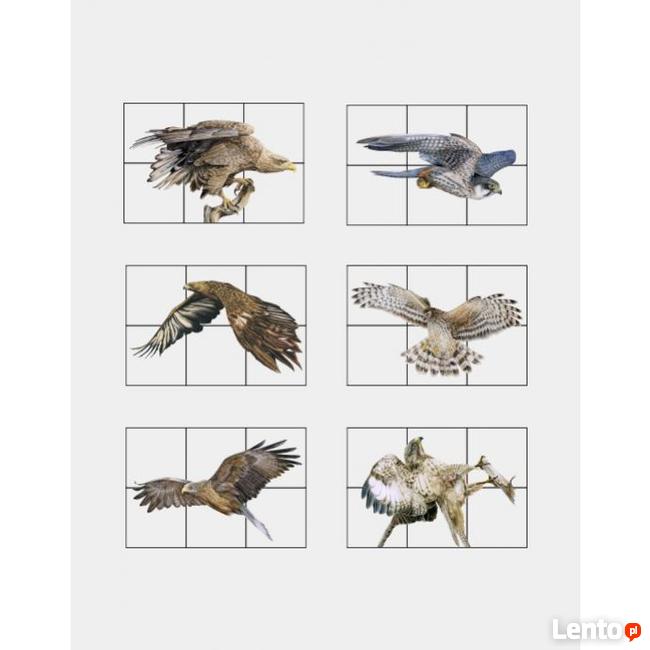 Drewniane klocki ''Ptaki drapieżne''
