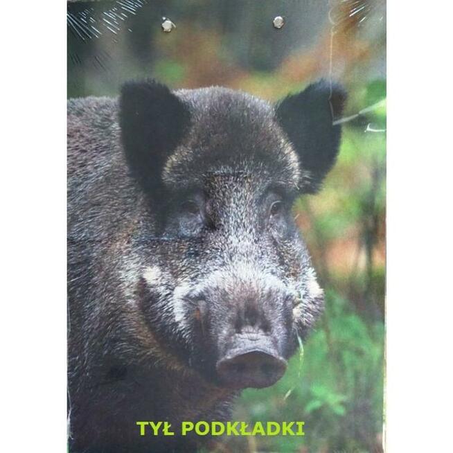Clipboard A4 - podkładka z klipsem ''dzik''