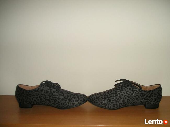 oksfordki panterka Atmosphere 39 25,5cm.