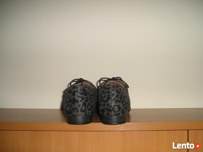 oksfordki panterka Atmosphere 39 25,5cm.