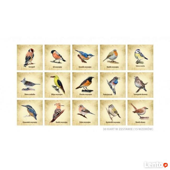 Gra edukacyjna MEMO 1 ptaki