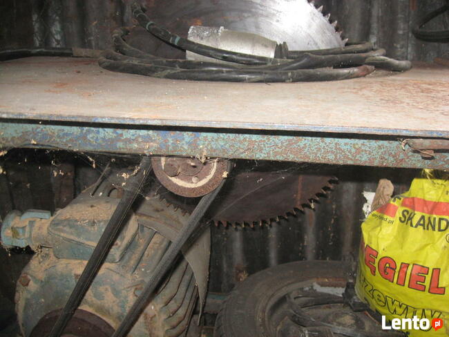 Piła stołowa duża