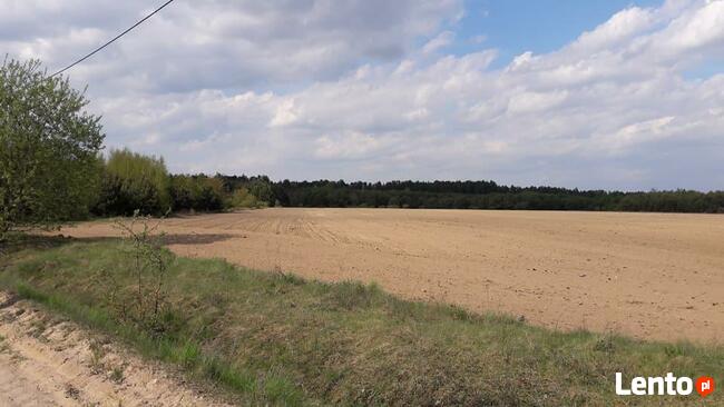 Działeczka pod lasem