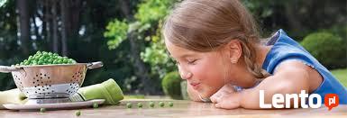 Operator wózka widłowego oraz operator wózka wysokiego skład