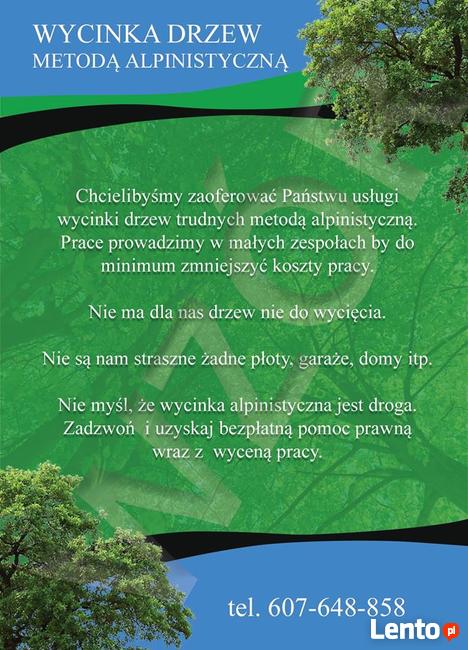 Alpinistyczna wycinka drzew oraz ciecie i rabanie drewna