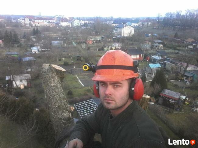 Wycinka drzew oraz ciecie i rabanie drewna