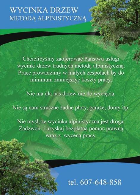 Wycinka drzew trudnych. Oraz ciecie i rabanie drewna