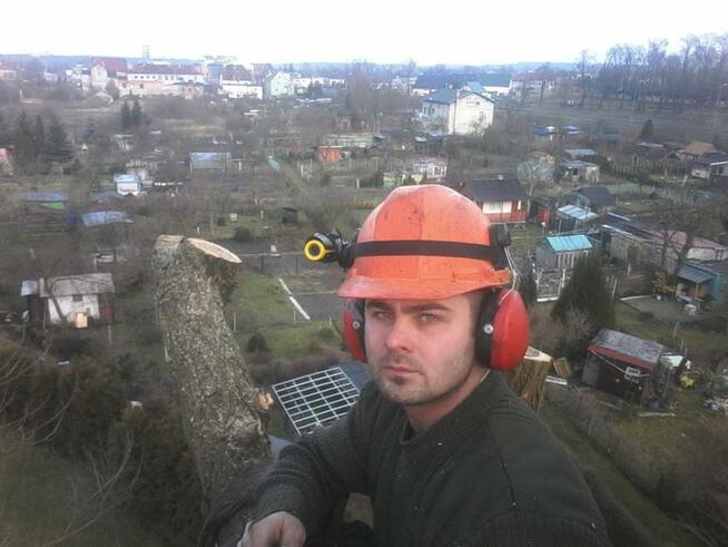 Alpinistyczna wycinka drzew oraz ciecie i rabanie drewna