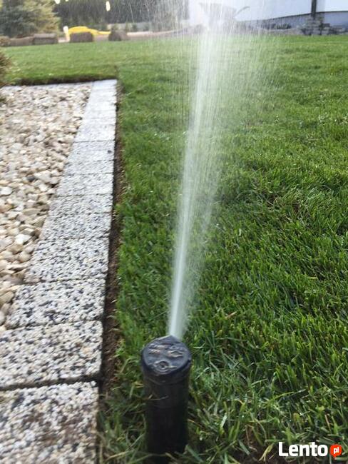 Usługi ogrodnicze trawa z rolki nawadnianie ogrodu trawnik