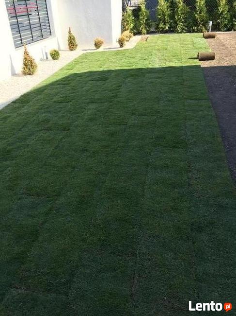 Usługi ogrodnicze trawa z rolki nawadnianie ogrodu trawnik