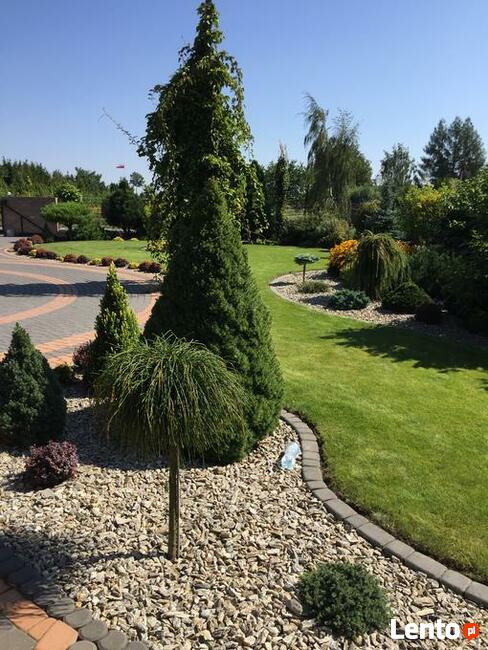 Usługi ogrodnicze trawa z rolki nawadnianie ogrodu trawnik