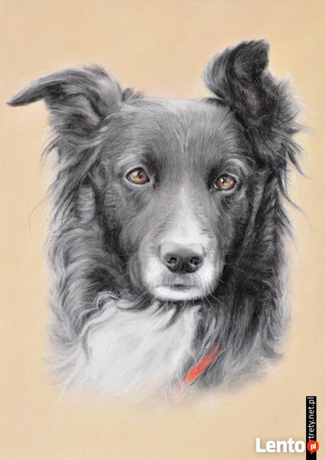 Portret ze zdjęcia NA ZAMÓWIENIE - Rysunek - Pastele - Obraz