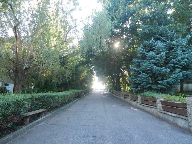 Ośrodek Wypoczynkowy Skalnik Dębina koło Rowów Wolne Terminy