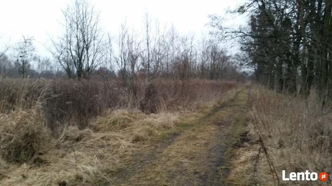 Sprzedam Działkę budowlaną w Pęgowie