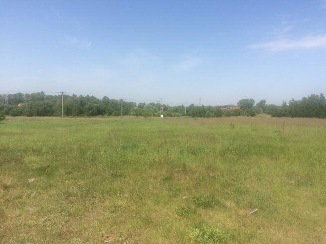 Działka mieszkaniowo-usługowa, LUBIN, Małomice 19,74 ary