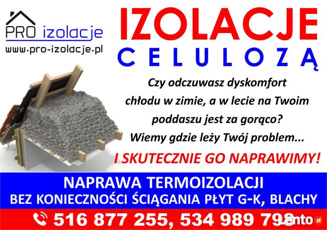 Zwalczanie kuny domowej Naprawa izolacji po kunach celuloza