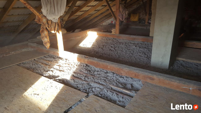 Zwalczanie kuny domowej Naprawa izolacji po kunach celuloza