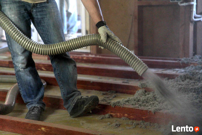 Zwalczanie kuny domowej Naprawa izolacji po kunach celuloza