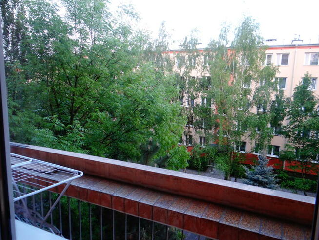 Mieszkanie wynajmę studentom