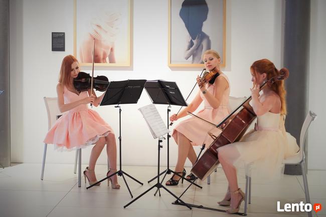 Oprawa muzyczna ślubu skrzypce, wiolonczela, trio smyczkowe