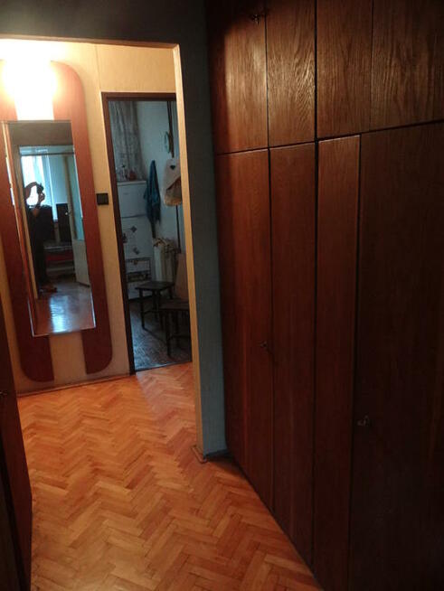 Mieszkanie wynajmę studentom