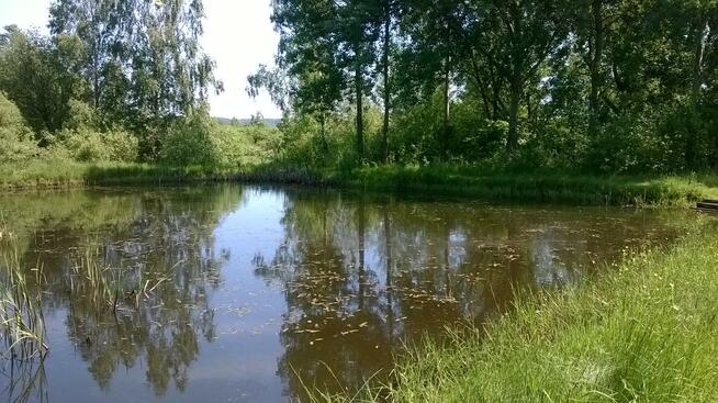Rodzinny Ogród Działkowy