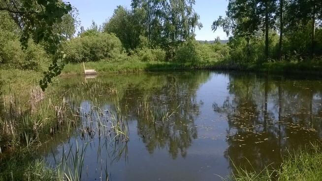 Rodzinny Ogród Działkowy