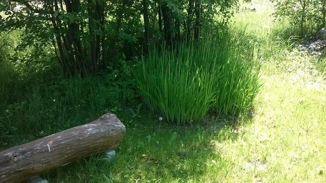 Rodzinny Ogród Działkowy