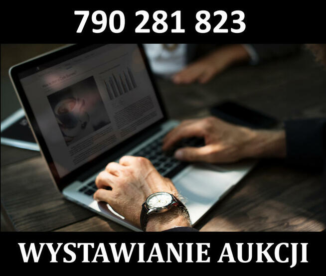 Wystawianie aukcji | dodawanie produktów | wprowadzam dane