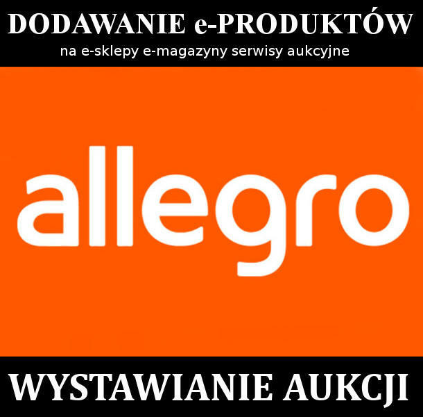 Wystawianie aukcji | dodawanie produktów | wprowadzam dane