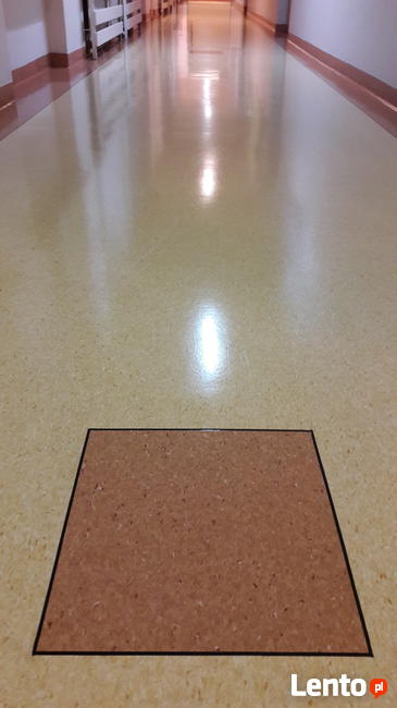 Polimeryzacja tarketu , PCV w szkołach i przedszkolach