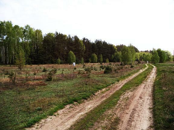 DZIAŁKA BUDOWLANA 1100 m2  W KANIEJ GÓRZE ( koło Sokolnik)