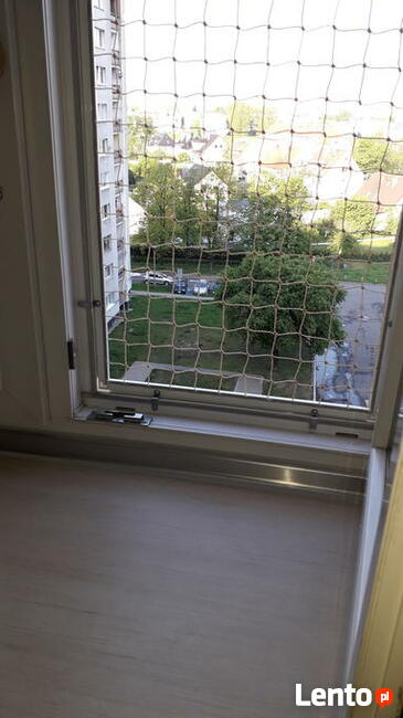 Montaż siatki:balkon, okno przed ptakami, wypadnięciu kotka.