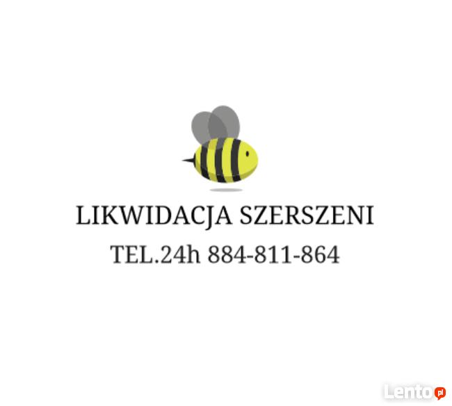 Zwalczanie likwidacja gniazd szerszeni, usuwanie roi os