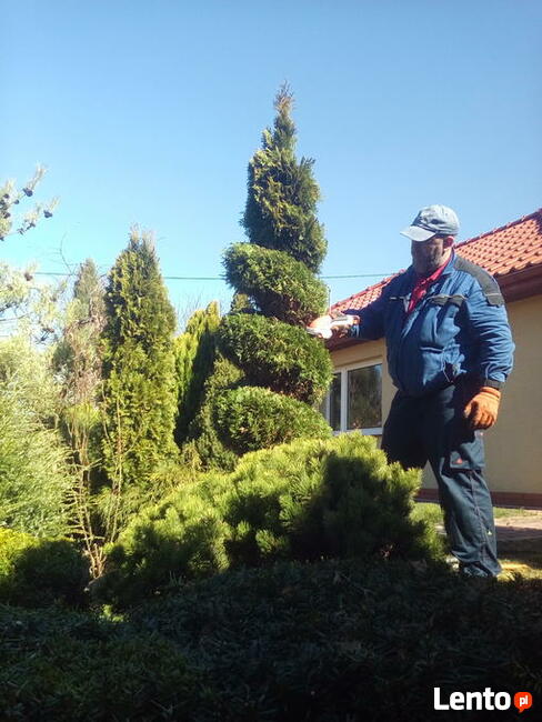 orka, cięcie, wertykulacja, ogród ,rabaty, trawniki, itp