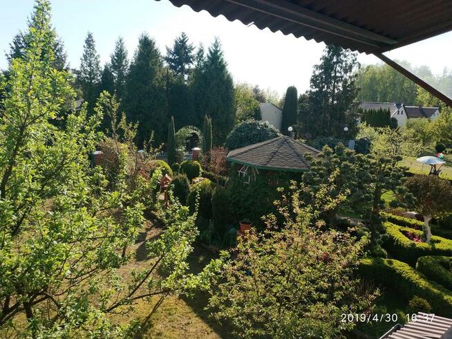 Przepiękna Działka ROD w Nekli