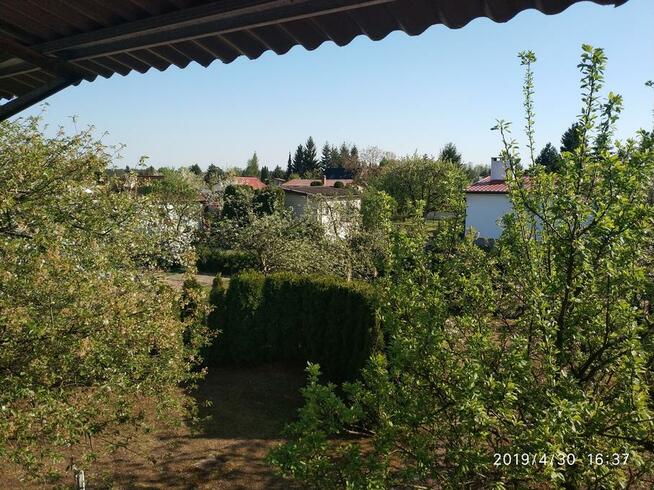 Przepiękna Działka ROD w Nekli