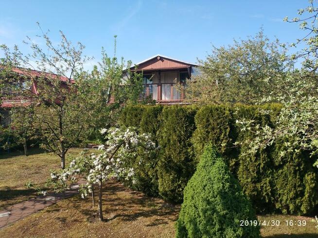 Przepiękna Działka ROD w Nekli