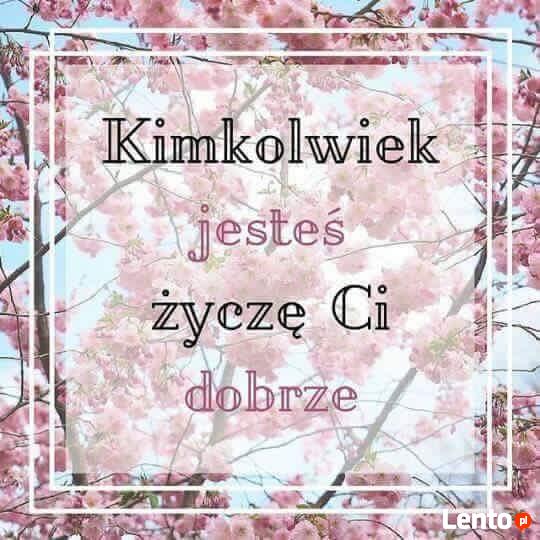 Hydraulik-Instalacje-Junkersy