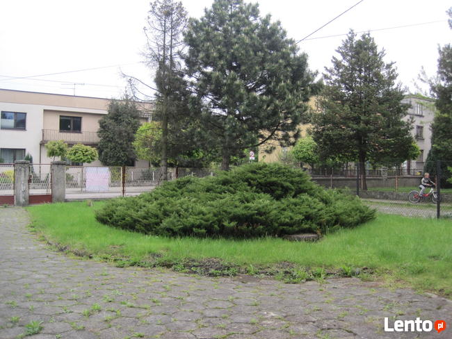 Skoczów - dom w centrum miasta.