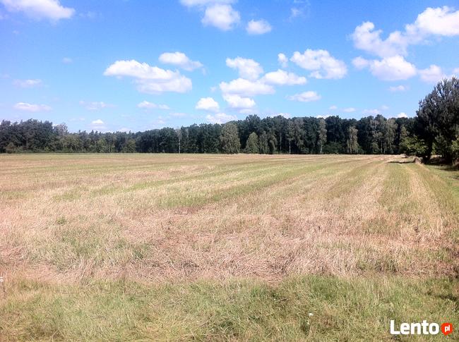 Trzcianka w gm. Wilga. Działka Budowlana.