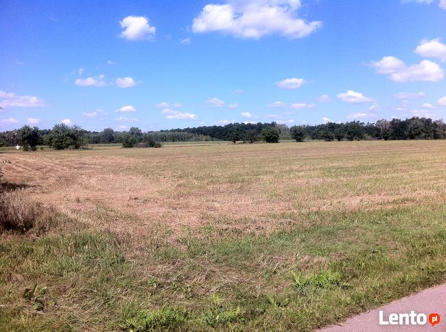 Trzcianka w gm. Wilga. Działka Budowlana.