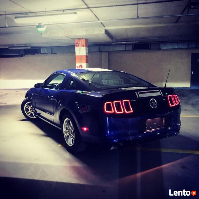 FORD MUSTANG 3.7 - Do ślubu • studniówki • sesje • KOSZULKI